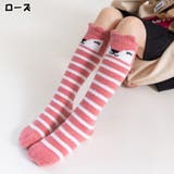 ハイソックス キッズ 子供用 | PlusNao | 詳細画像17