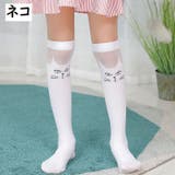 ハイソックス 靴下 子供用 | PlusNao | 詳細画像6 