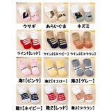 子供用クルーソックス 靴下 くつ下 | PlusNao | 詳細画像15 