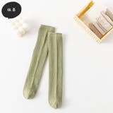 ハイソックス キッズ 子供用 | PlusNao | 詳細画像17 