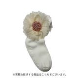 クルーソックス 1足 べビー | PlusNao | 詳細画像12