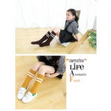 靴下 キッズ ジュニア | PlusNao | 詳細画像5 