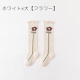 靴下 ベビー キッズ | PlusNao | 詳細画像16