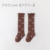 靴下 ベビー キッズ | PlusNao | 詳細画像17