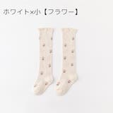 靴下 ベビー キッズ | PlusNao | 詳細画像19