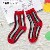 靴下 クルーソックス シアーソックス | PlusNao | 詳細画像18 