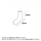 クルーソックス レディース 靴下 | PlusNao | 詳細画像20 