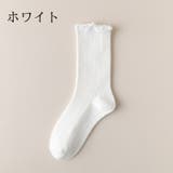 クルーソックス ショートソックス 2足セット | PlusNao | 詳細画像15