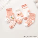 靴下 クルーソックス 5足セット | PlusNao | 詳細画像6