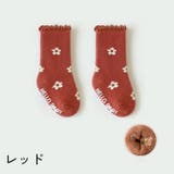 靴下 クルーソックス ベビー | PlusNao | 詳細画像14 