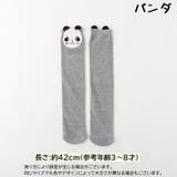 ハイソックス 靴下 くつ下 | PlusNao | 詳細画像16 