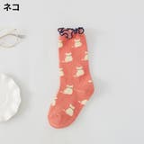 クルーソックス 靴下 キッズ | PlusNao | 詳細画像12 