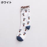 クルーソックス 靴下 キッズ | PlusNao | 詳細画像3 