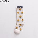 クルーソックス 靴下 キッズ | PlusNao | 詳細画像6 