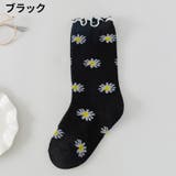 クルーソックス 靴下 キッズ | PlusNao | 詳細画像9 