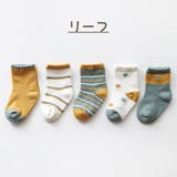 クルーソックス 5足セット キッズ | PlusNao | 詳細画像7 