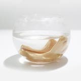 ショートソックス 5足セット くるぶしソックス | PlusNao | 詳細画像8 