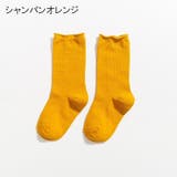 クルーソックス 靴下 キッズ | PlusNao | 詳細画像17 