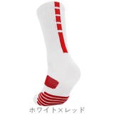 スポーツソックス クルーソックス メンズ | PlusNao | 詳細画像7 