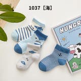 靴下 4足セット ロークルーソックス | PlusNao | 詳細画像13