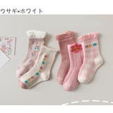 靴下 クルーソックス 5足セット | PlusNao | 詳細画像12 