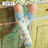 靴下 ソックス ハイソックス | PlusNao | 詳細画像11