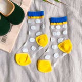 クルーソックス 靴下 キッズ | PlusNao | 詳細画像17