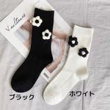 クルーソックス レディース 靴下 | PlusNao | 詳細画像14 