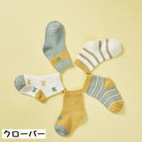 靴下 クルーソックス 5足セット | PlusNao | 詳細画像19