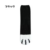 靴下 ルームソックス クルーソックス | PlusNao | 詳細画像13 