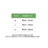 ショートソックス 単品 1足 | PlusNao | 詳細画像17 