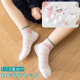 靴下 ショートソックス 5足セット | PlusNao | 詳細画像1 