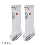 ハイソックス ニーソックス ベビー | PlusNao | 詳細画像12
