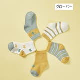 クルーソックス ショートクルー 5足セット | PlusNao | 詳細画像13 