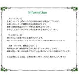 靴下 ソックス ショート丈 | PlusNao | 詳細画像15