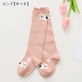 ハイソックス キッズ 子ども | PlusNao | 詳細画像13 