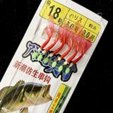 サビキ 仕掛け 6本針 | PlusNao | 詳細画像5