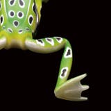 ハードルアー フロッグ カエル | PlusNao | 詳細画像12 