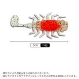 ソフトルアー 虫型ワーム 10個組 | PlusNao | 詳細画像12 