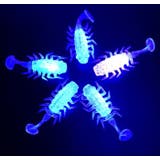 ソフトルアー 虫型ワーム 10個組 | PlusNao | 詳細画像5 