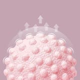 ストレッチボール ストレッチグッズ 丸型 | PlusNao | 詳細画像3 