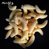 ソフトルアー 疑似餌 50個セット | PlusNao | 詳細画像6 