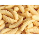 ソフトルアー 疑似餌 1袋 | PlusNao | 詳細画像2 