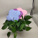 ヨガマット 2個セット ヨガパッド | PlusNao | 詳細画像4 