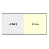 ストッキング タイツ レディース | PlusNao | 詳細画像12
