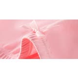 ボクサーパンツ ボックスショーツ 子供用 | PlusNao | 詳細画像10 