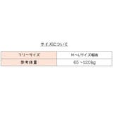 パンティストッキング パンスト レディース | PlusNao | 詳細画像20
