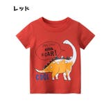 Tシャツ 半袖 トップス | PlusNao | 詳細画像6 