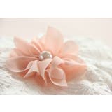 ボレロ 羽織り ジャケット | PlusNao | 詳細画像8 