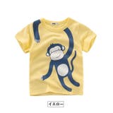 Tシャツ カットソー ラウンドネック | PlusNao | 詳細画像3 